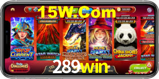 289win cassino