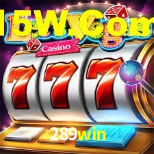 Programa VIP 289win