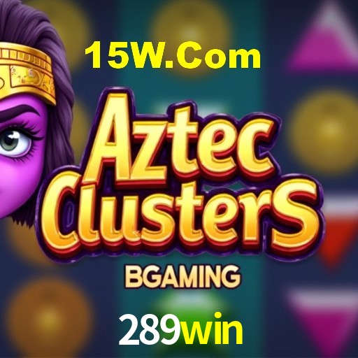 Experiência VIP 289win
