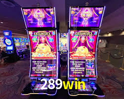 289win cassino